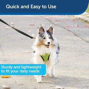 Black PetSafe Nylon Dog Leash Small, Medium and Large Dogs – 3/4" x 4'